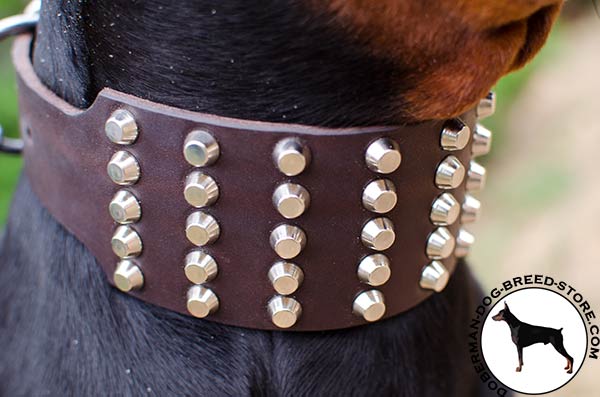 Nickel plated decorations on leather Doberman collar