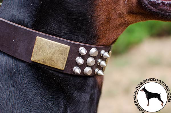 Mix of decorations on leather Doberman collar