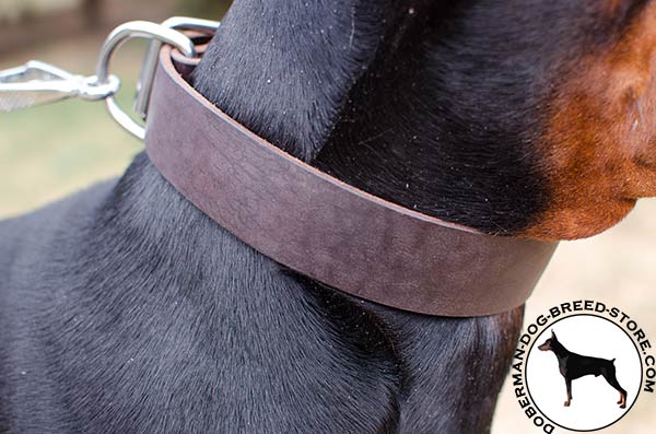 Durable leather collar for powerful Doberman