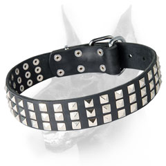 Leather black Doberman collar with rows of pyramids