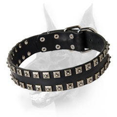 Stud adorned leather dog collar for Doberman
