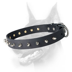 Leather Doberman collar with spikes