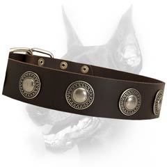 Universal leather dog collar
