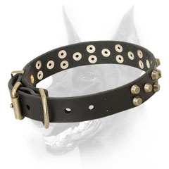 Leather dog collar with brass hardware
