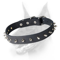 Leather Doberman collar with nickel-plated hardware