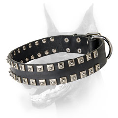 Leather Doberman collar with studs