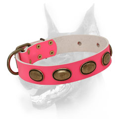 Pink leather Doberman collar with ovals