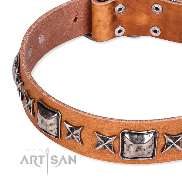 Everyday use embellished dog collar of top quality full grain leather