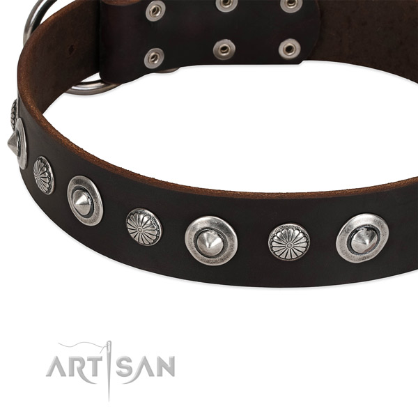 Remarkable embellished dog collar of durable full grain leather