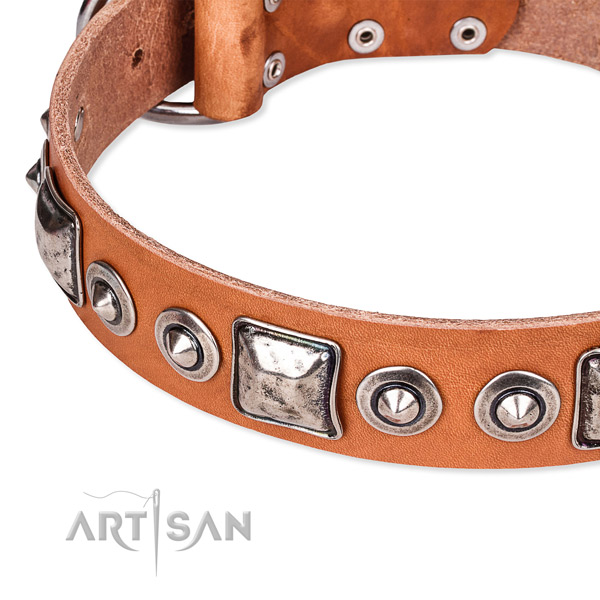 Flexible full grain leather dog collar created for your handsome doggie