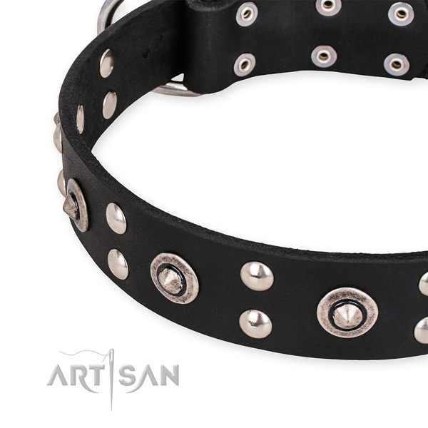 Natural leather collar with reliable hardware for your impressive four-legged friend