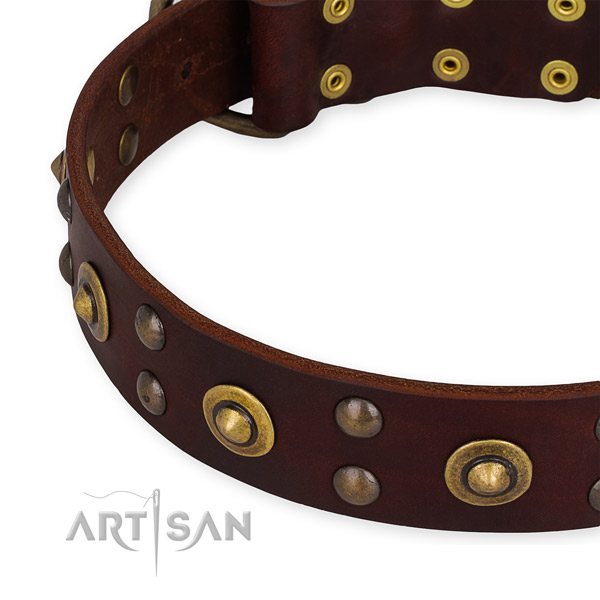 Full grain leather collar with corrosion resistant D-ring for your attractive canine