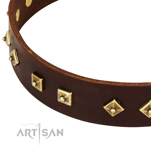 Awesome genuine leather collar for your beautiful four-legged friend