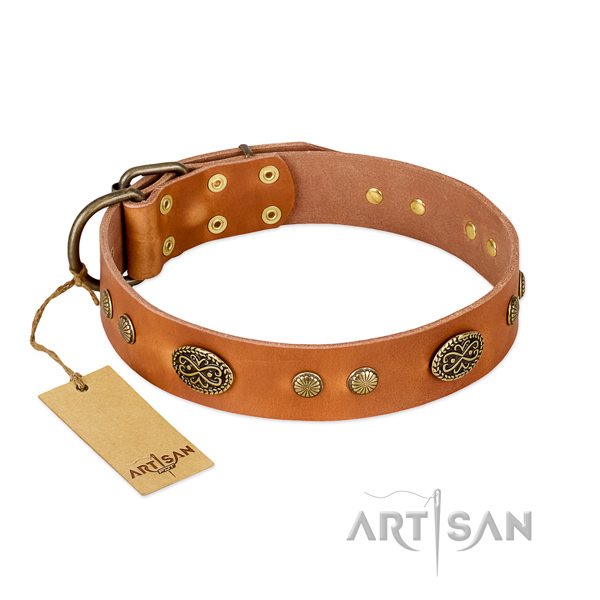 Rust resistant buckle on leather dog collar for your dog
