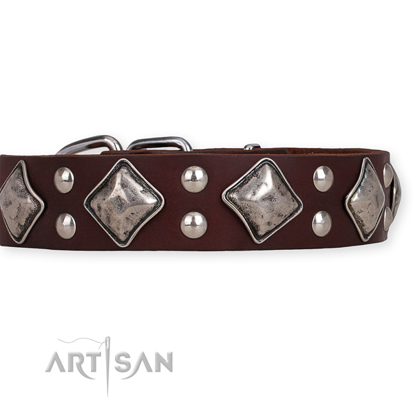 Full grain natural leather dog collar with incredible rust resistant studs