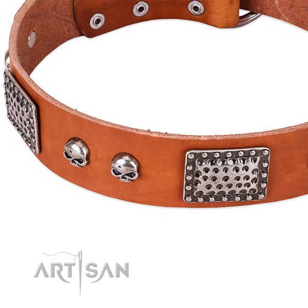Rust-proof traditional buckle on natural genuine leather dog collar for your four-legged friend