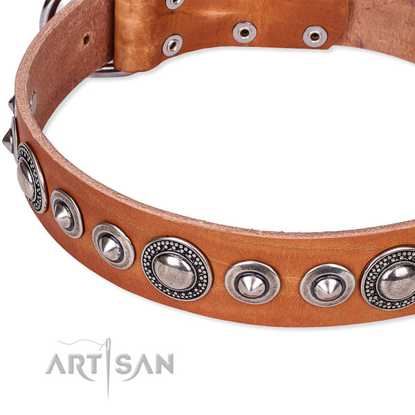 Daily use embellished dog collar of top quality full grain natural leather