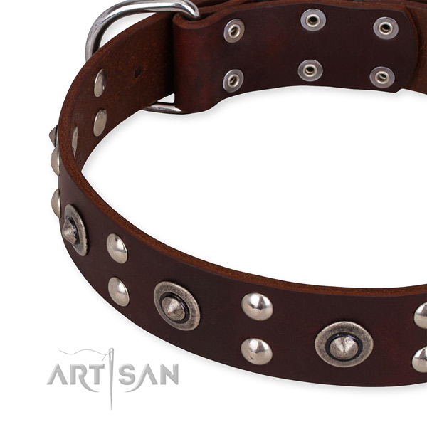 Full grain leather collar with corrosion resistant buckle for your lovely canine