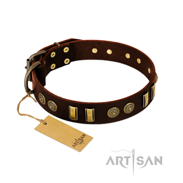 Rust resistant adornments on leather dog collar for your dog