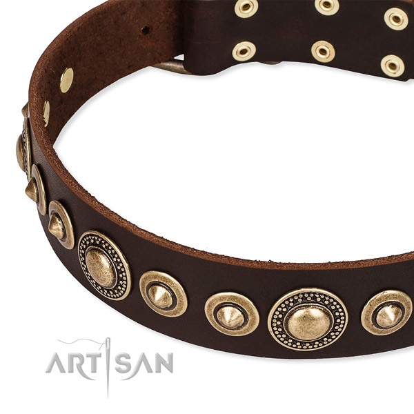 Top rate full grain leather dog collar handcrafted for your impressive pet
