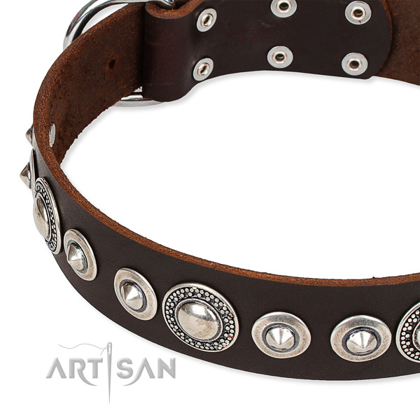 Handy use embellished dog collar of finest quality full grain leather