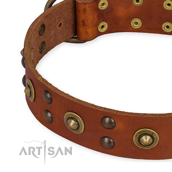 Genuine leather collar with durable D-ring for your lovely doggie