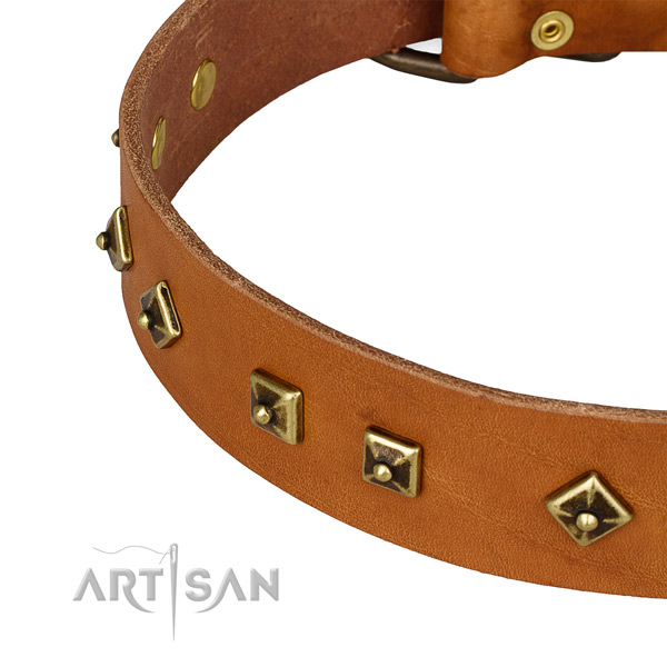 Studded genuine leather collar for your beautiful canine