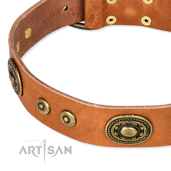 Full grain leather dog collar made of top rate material with embellishments