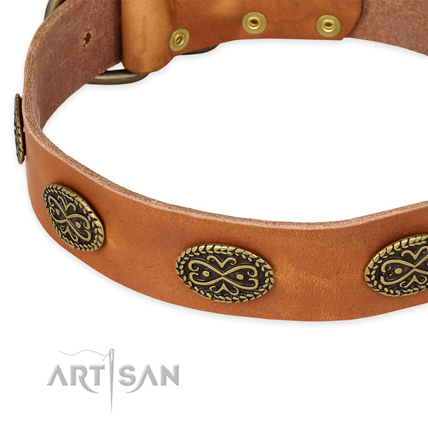 Designer full grain genuine leather collar for your impressive doggie