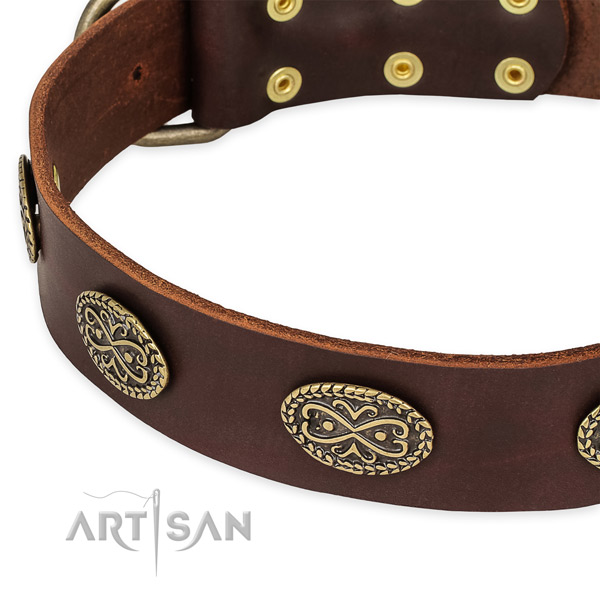 Awesome leather collar for your stylish canine