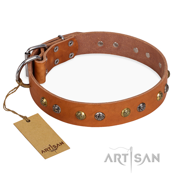 Walking stylish design dog collar with corrosion proof buckle