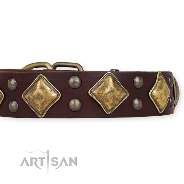 Full grain natural leather dog collar with stunning durable adornments