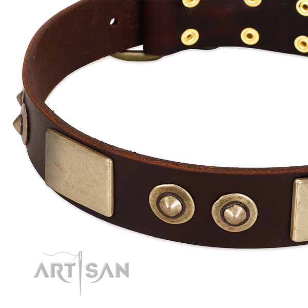 Corrosion resistant decorations on genuine leather dog collar for your doggie