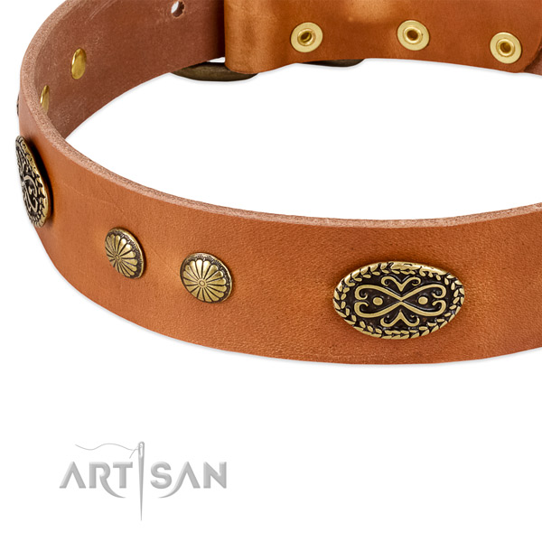 Rust resistant fittings on full grain genuine leather dog collar for your four-legged friend