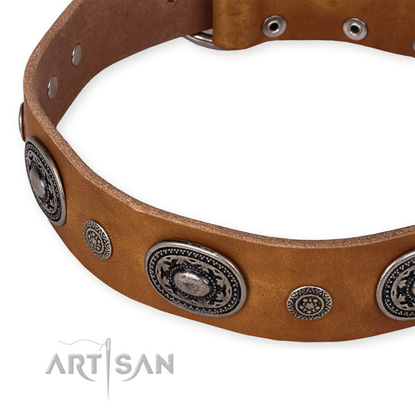 High quality full grain natural leather dog collar created for your attractive doggie