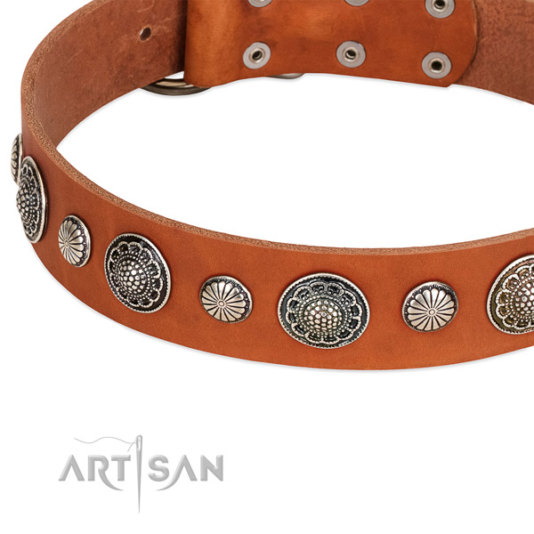 Genuine leather collar with rust-proof traditional buckle for your attractive doggie