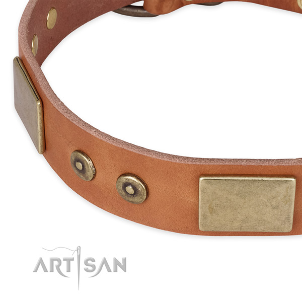 Strong buckle on genuine leather dog collar for your doggie