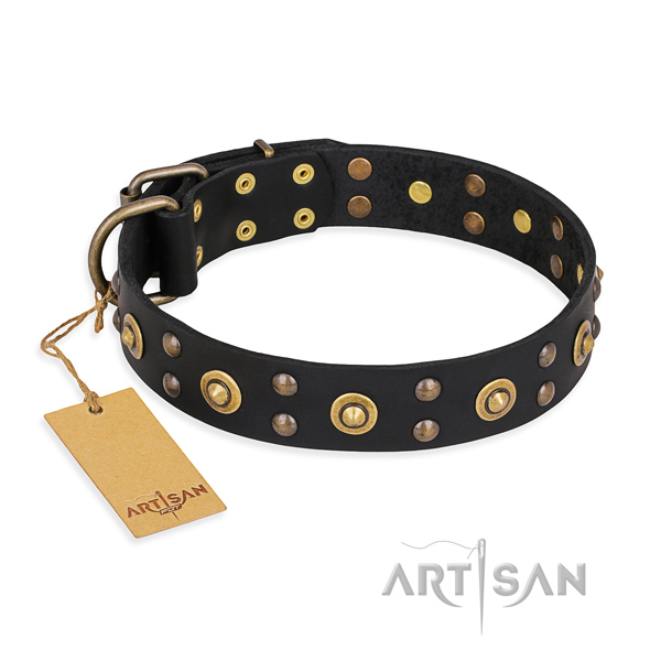 Daily use handmade dog collar with strong traditional buckle