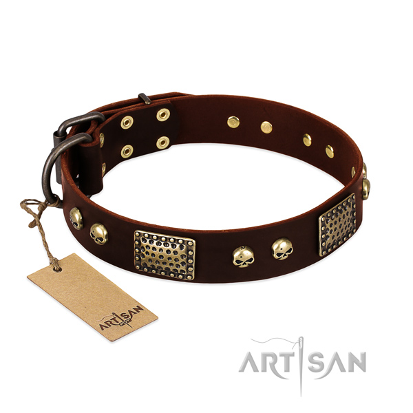 Adjustable genuine leather dog collar for walking your doggie