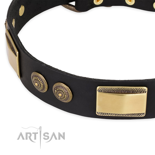 Embellished genuine leather collar for your handsome doggie