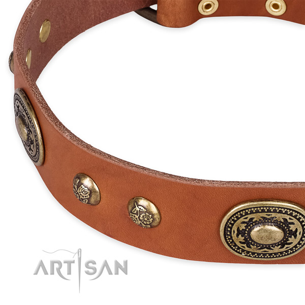 Exceptional full grain genuine leather collar for your lovely dog