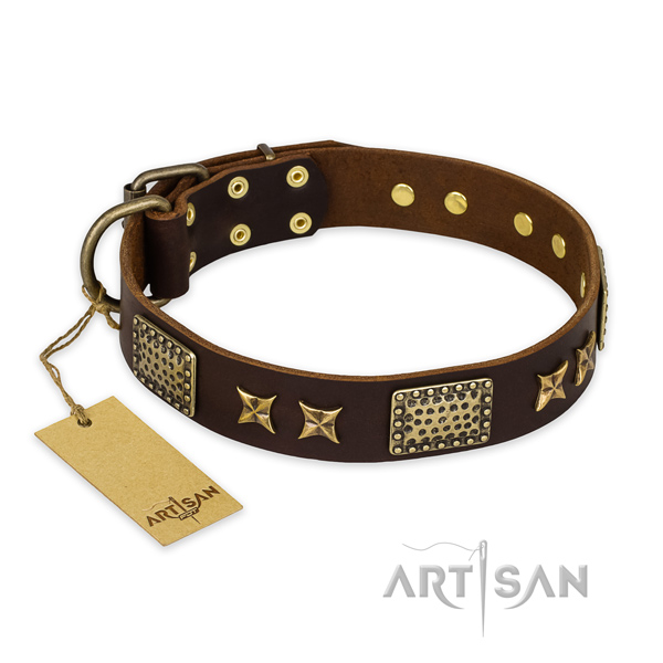 Easy adjustable leather dog collar with reliable fittings