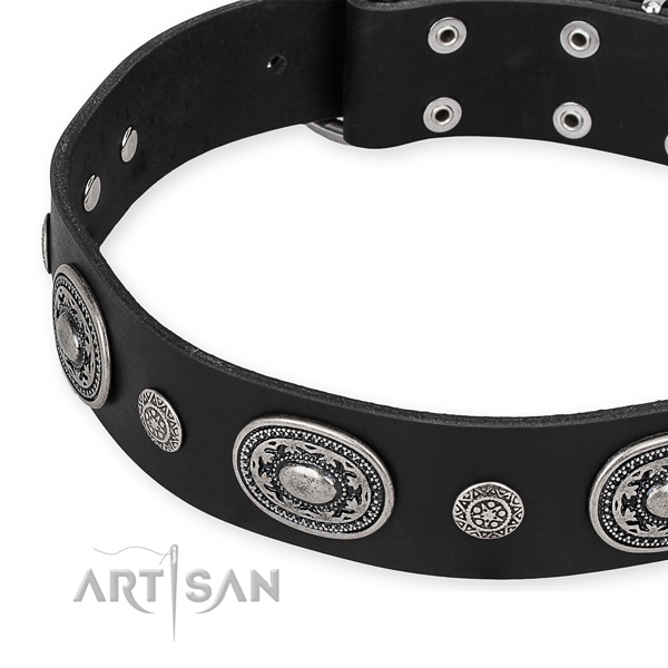 Top notch genuine leather dog collar crafted for your beautiful pet