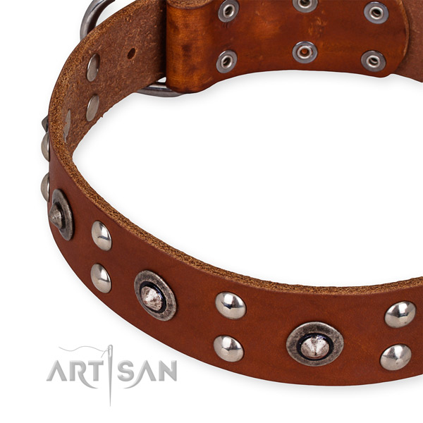 Full grain natural leather collar with reliable buckle for your handsome pet