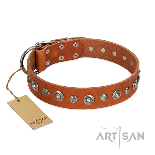 Strong full grain genuine leather dog collar with inimitable embellishments