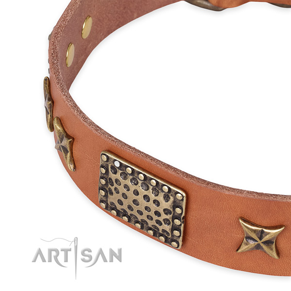 Genuine leather collar with corrosion resistant fittings for your lovely doggie