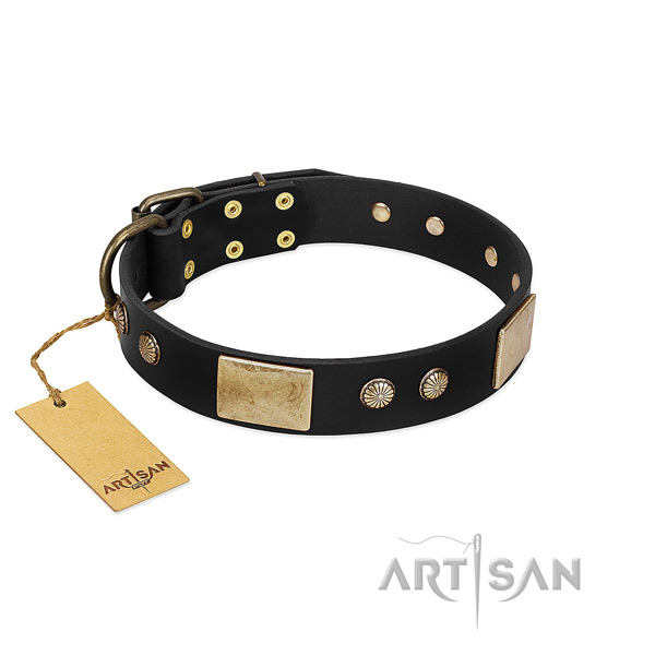 Easy to adjust genuine leather dog collar for stylish walking your four-legged friend