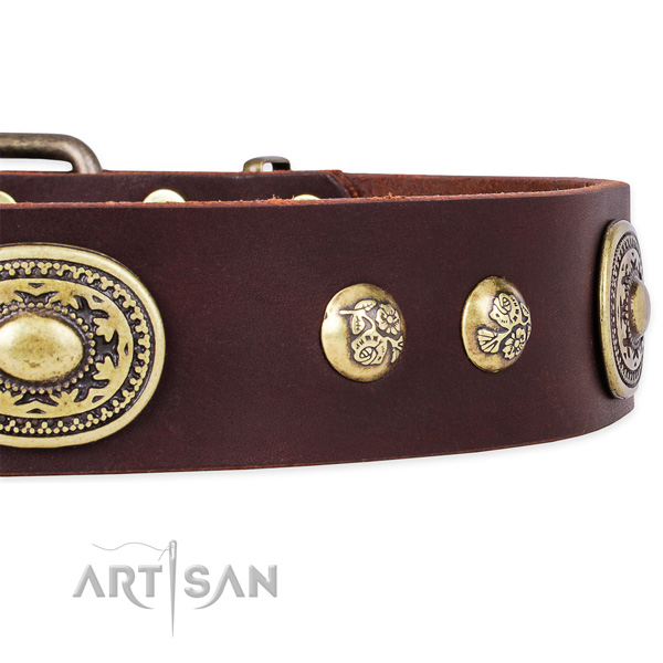 Incredible natural leather collar for your stylish four-legged friend