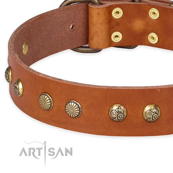 Full grain leather collar with corrosion resistant traditional buckle for your impressive canine