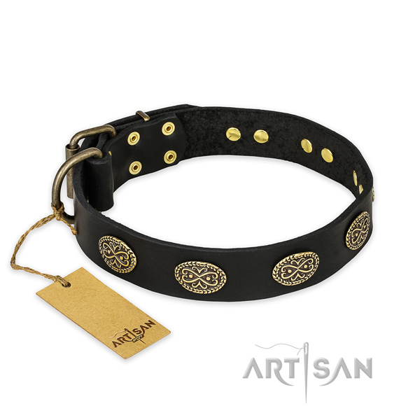 Decorated leather dog collar with rust resistant hardware
